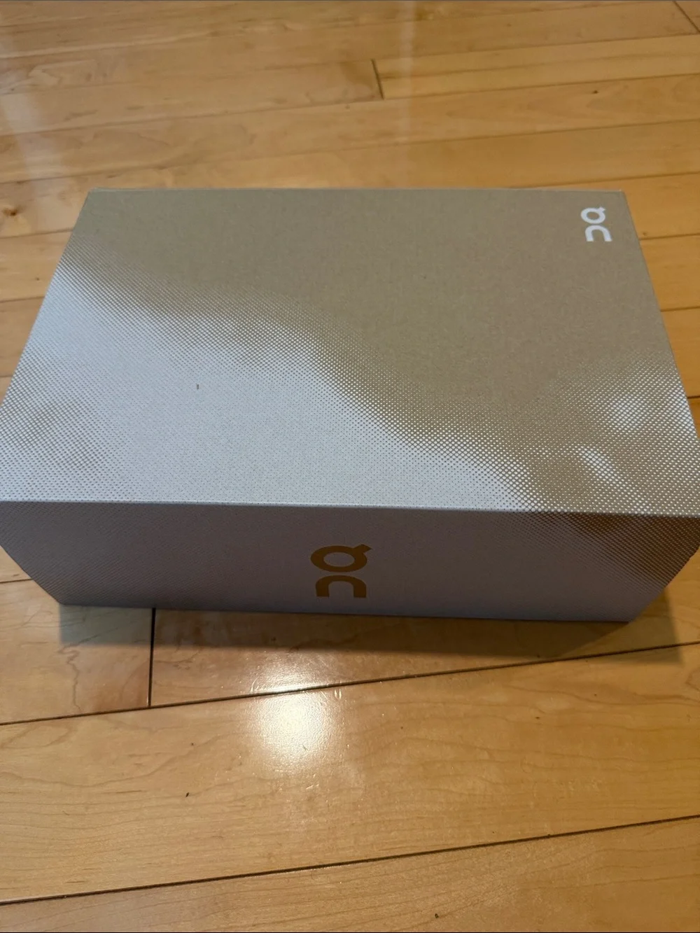 On Running Silver-Gray Shoe Box
